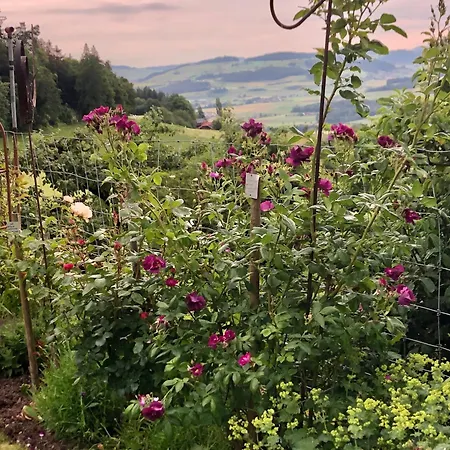 Rosenhuesli Gerzensee