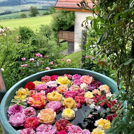 Rosenhuesli 公寓 *