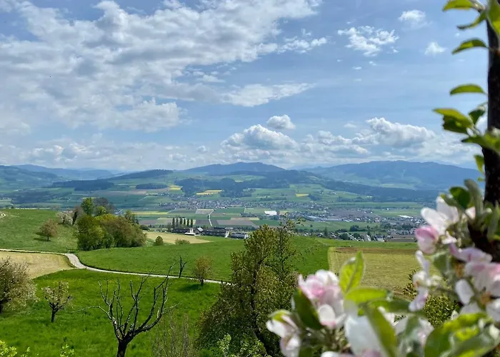 Rosenhuesli *
