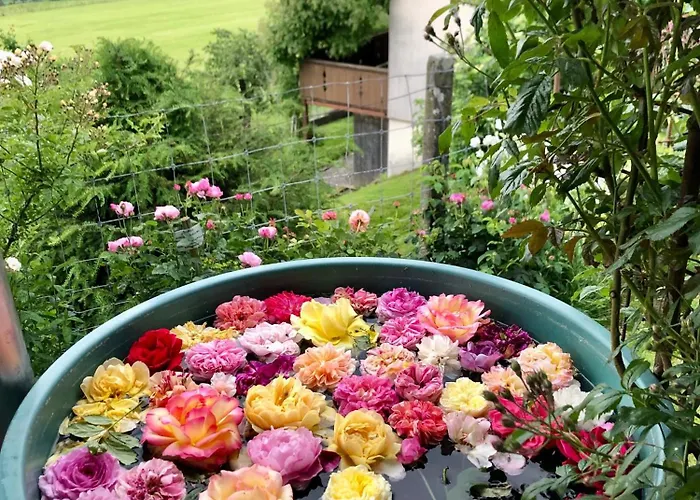 Rosenhuesli 公寓 *