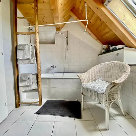 Apartment Rosenhuesli